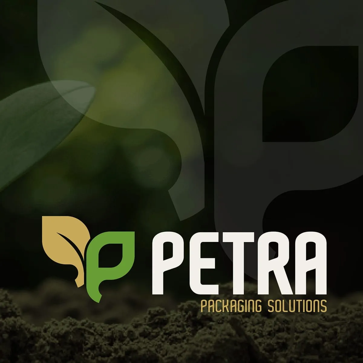 Petra Packaging Solution